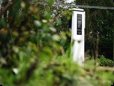 domestic-ev-columns-1